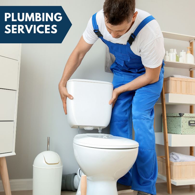 Plumbing Company in Forest Lakes, AZ